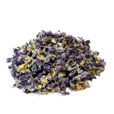 خرید گل بنفشه شمال