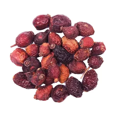 میوه نسترن