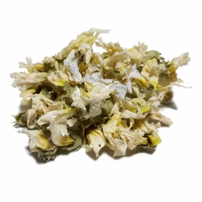 گل ختمی سفید