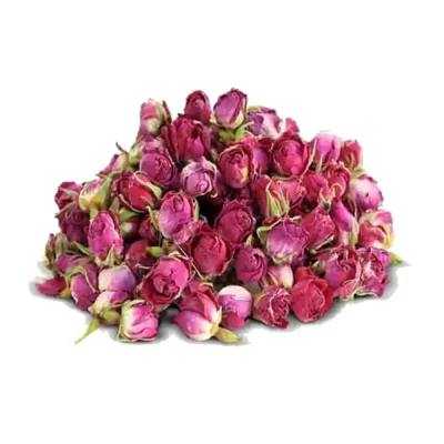 غنچه گل محمدی